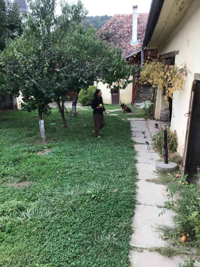 Casa Arthur Richis Richisu Buitenkant foto